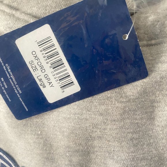 Champion 3D Script Grey Hoodie - Picture 3 of 3